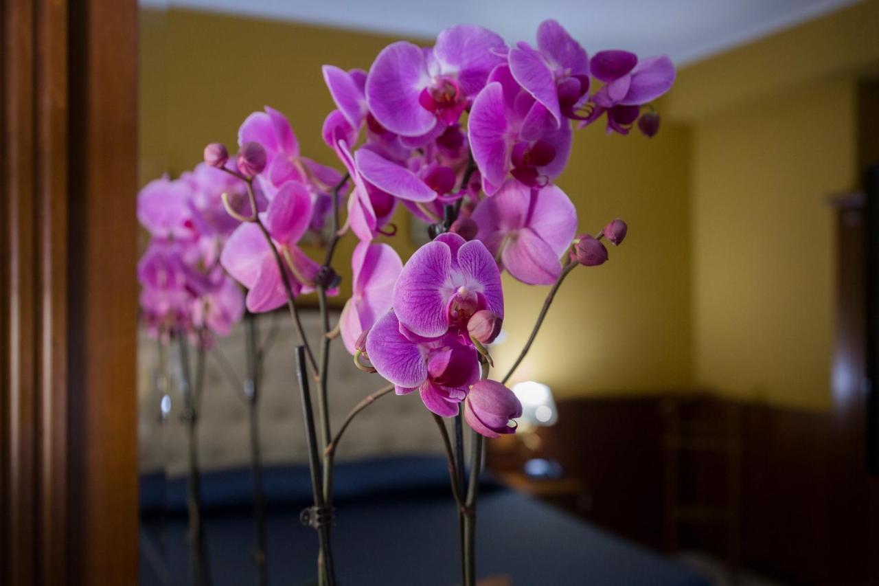 Hotel San Michele Milazzo Eksteriør billede